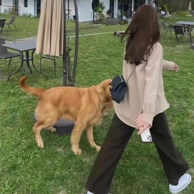 强大的首领
